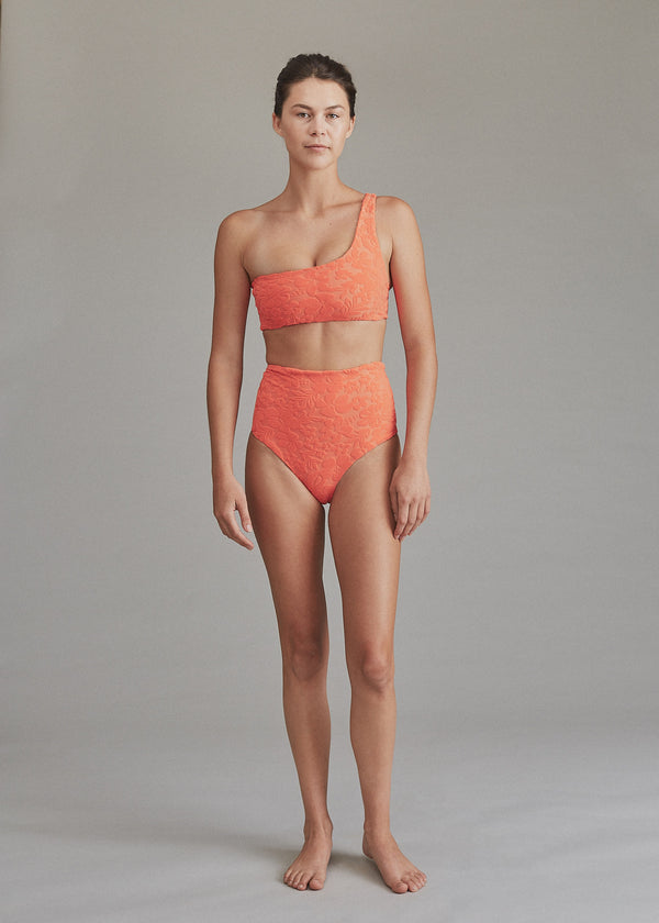 Acacia Swimwear Brazil Bottom in Gaucho – Bikinibird